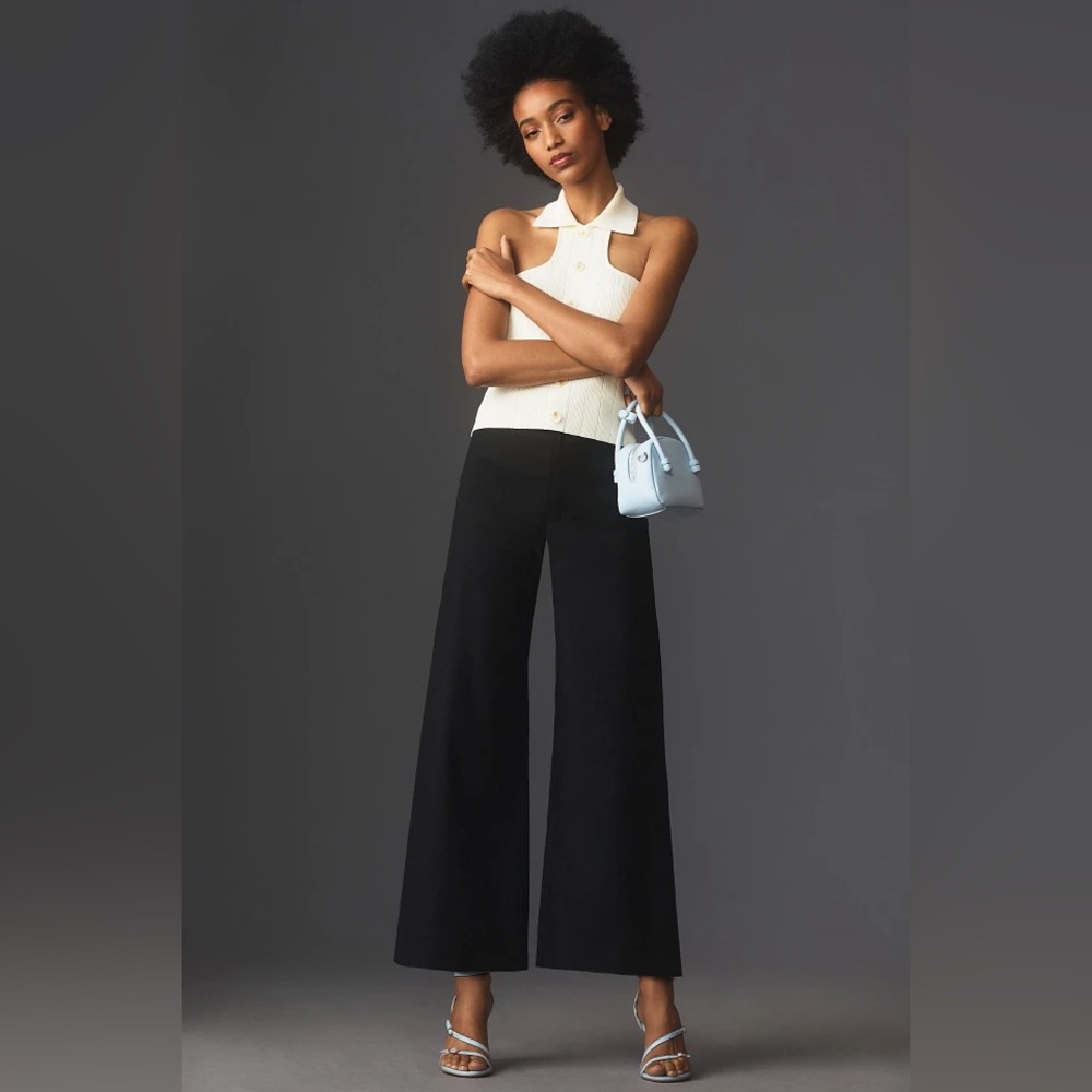 🖤 Anthropologie Maeve Ettie High-Rise Crop Wide-Leg Pants (Black, Size 25P)
